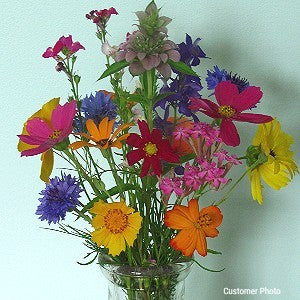Bouquets For Days Wildflower Seed Mix