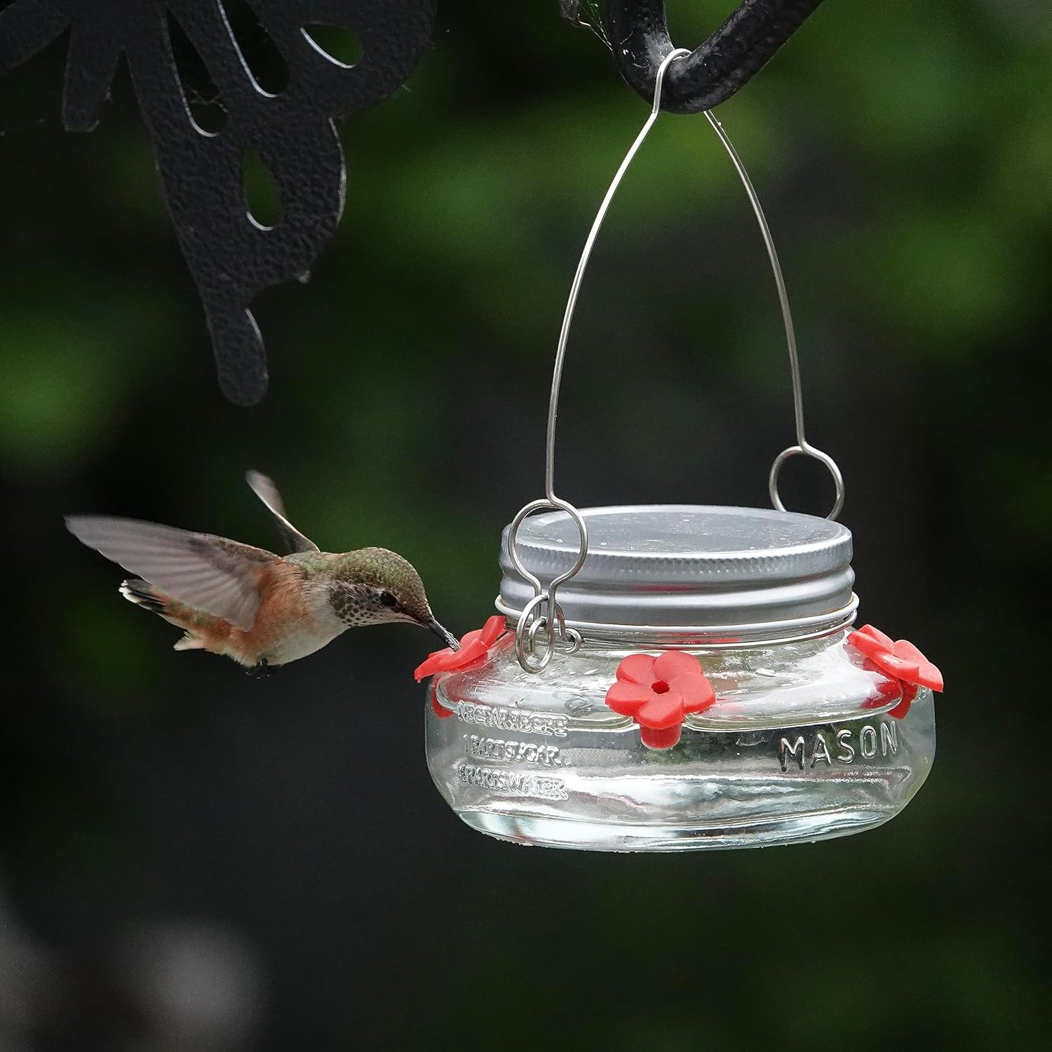 Mason Jar Hummingbird Feeder Vermont Wildflower Farm   91QIpfxSnwL. AC SL1500 