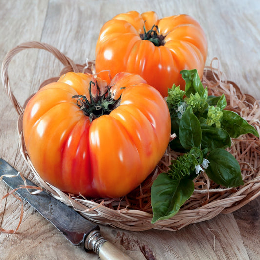 Tomato Pineapple Seeds