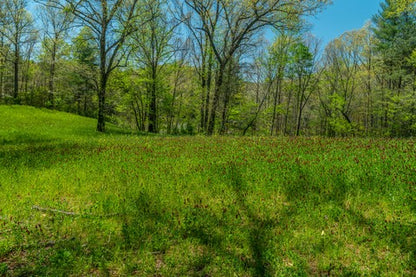 Annual Cover Crop Seed Mix